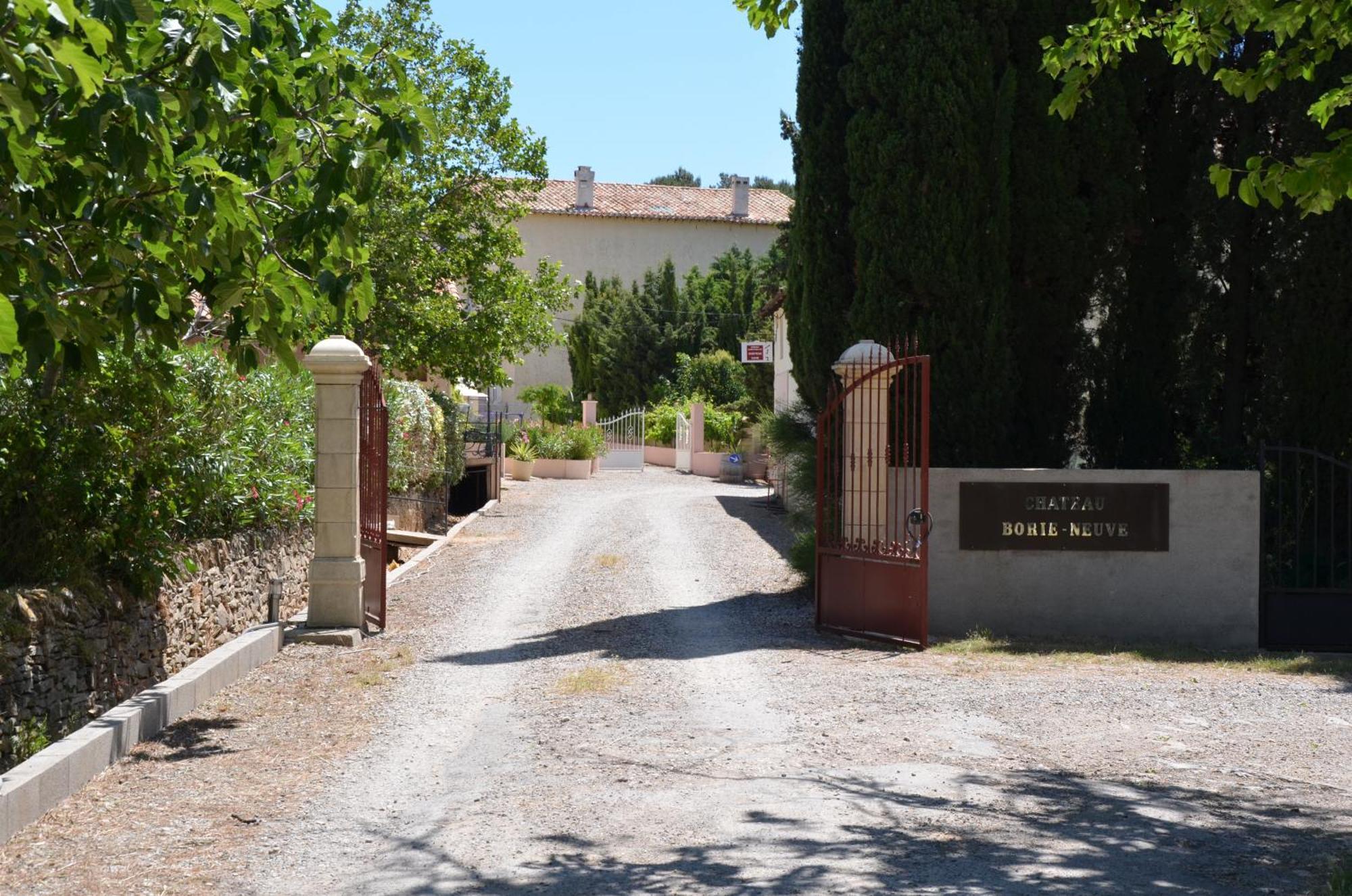 Chateau Borie Neuve Badens Экстерьер фото